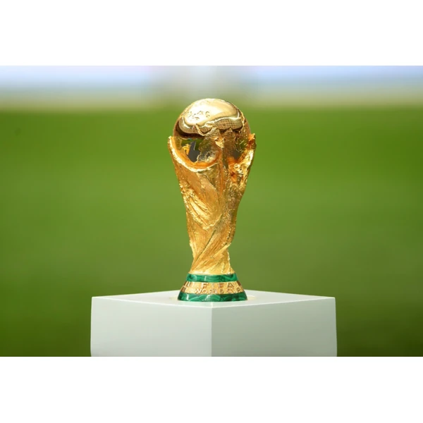 signup-biywin.com.cn APP 界面 | Bwin